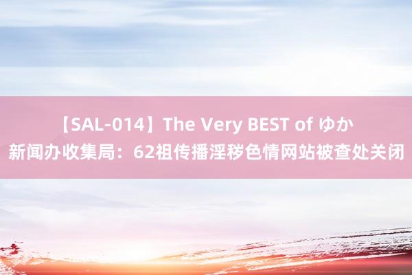 【SAL-014】The Very BEST of ゆか 新闻办收集局：62祖传播淫秽色情网站被查处关闭