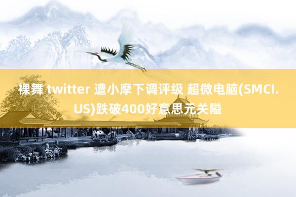 裸舞 twitter 遭小摩下调评级 超微电脑(SMCI.US)跌破400好意思元关隘