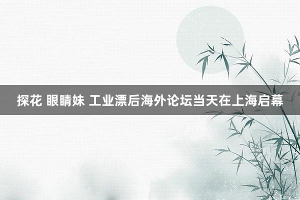探花 眼睛妹 工业漂后海外论坛当天在上海启幕